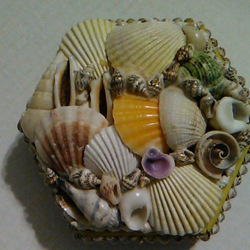 Hexagon shell box - Picture 6 of 8
